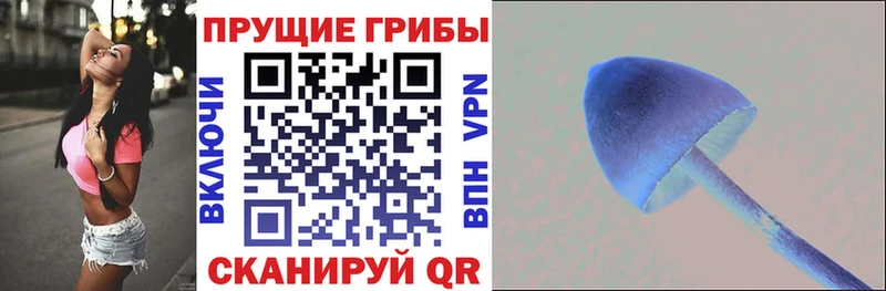 Псилоцибиновые грибы Cubensis  Арзамас 